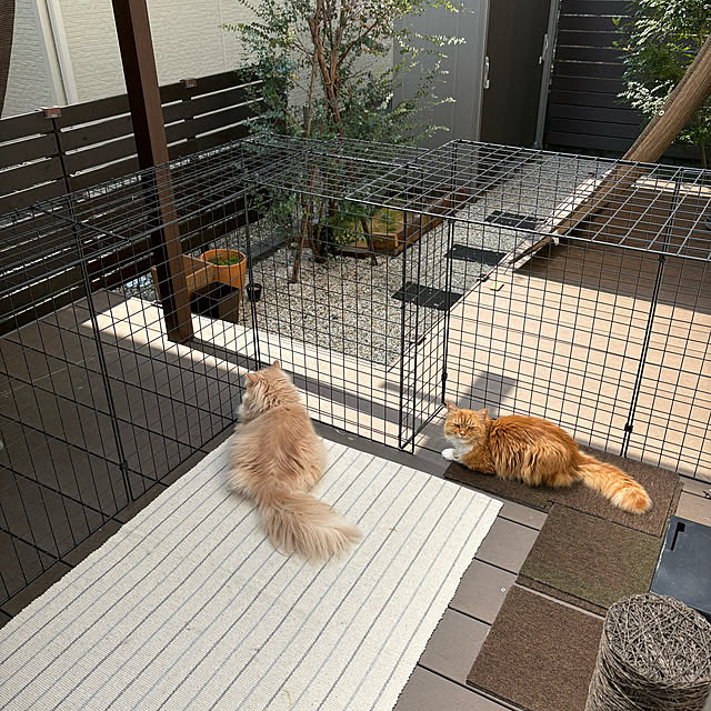 AYAさんの実例写真