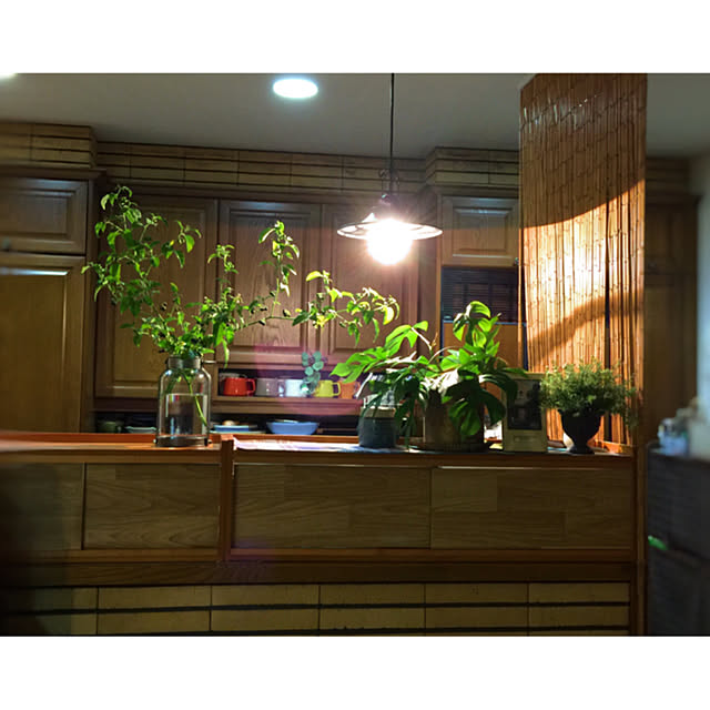 satochanさんの実例写真