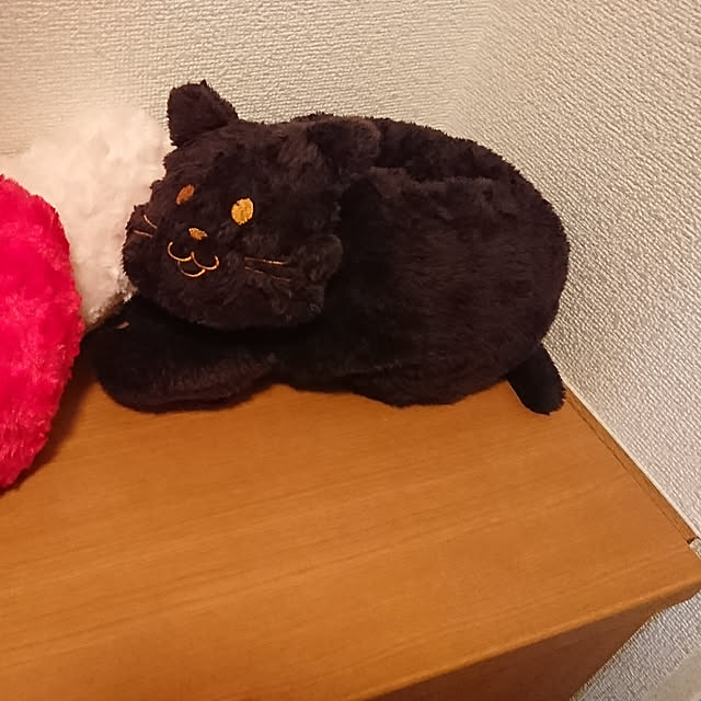 ruoniさんの実例写真