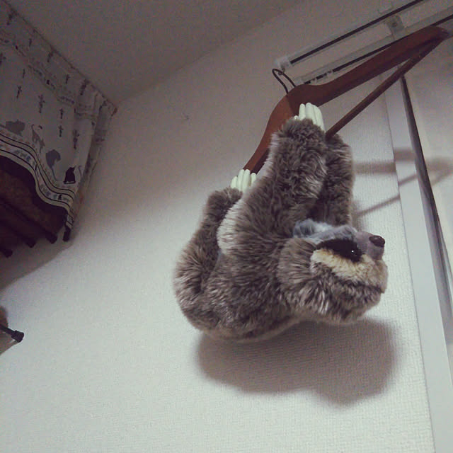 Fさんの実例写真