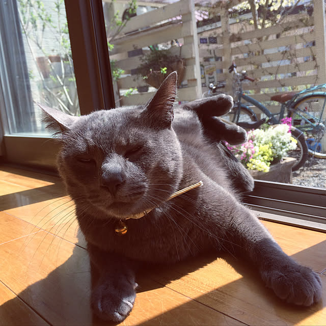 annさんの実例写真
