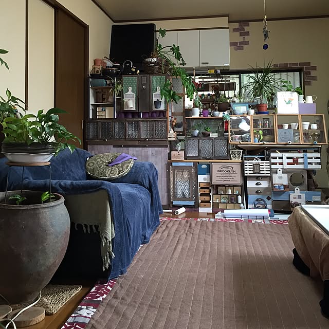 Norikoさんの実例写真