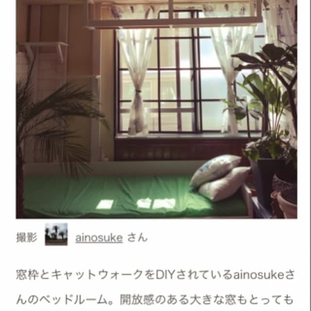 ainosukeさんの実例写真