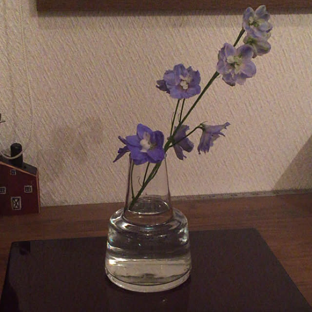 yumさんの実例写真
