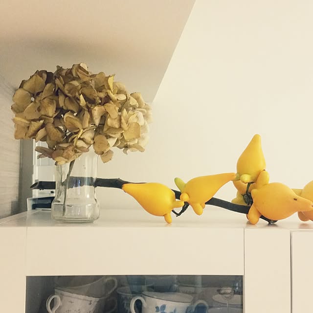yukie-tanさんの実例写真