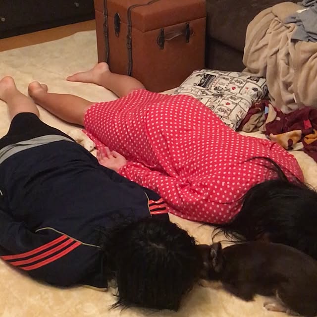 takaさんの実例写真