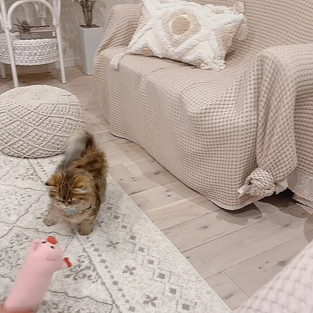miyu39さんの実例写真