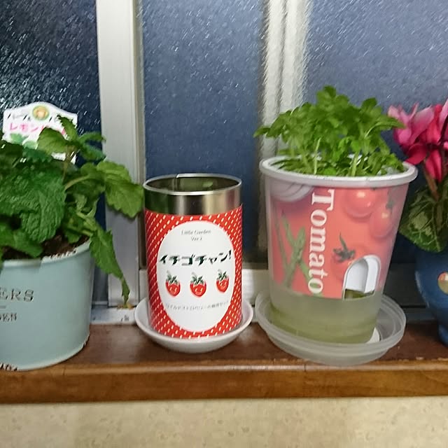 実例写真