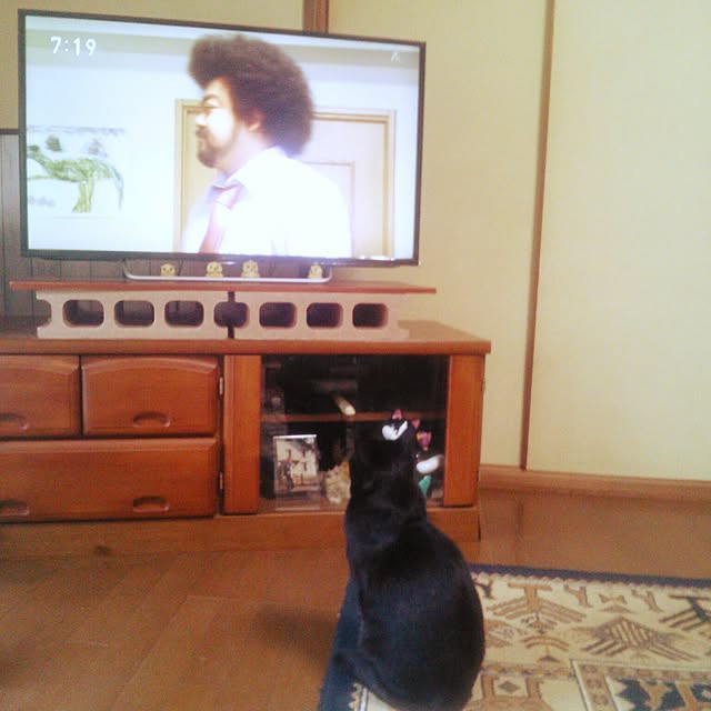 tomopさんの実例写真