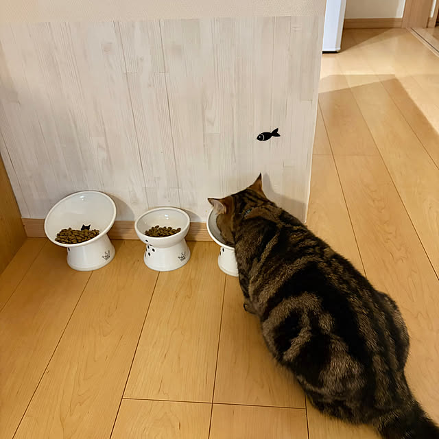 chiiさんの実例写真