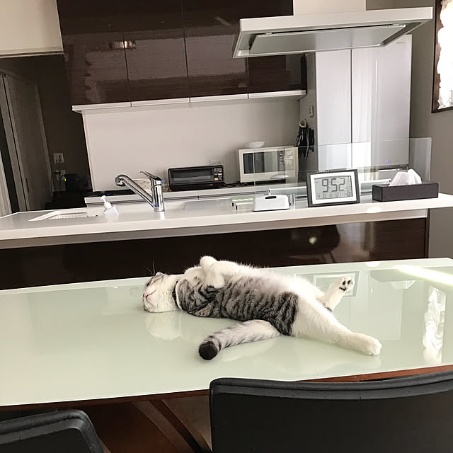Dahliaさんの実例写真