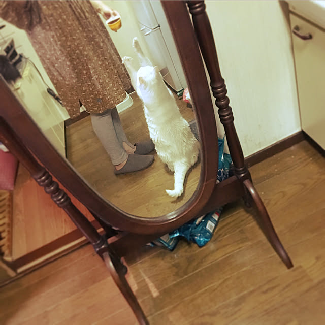 matatabi88さんの実例写真