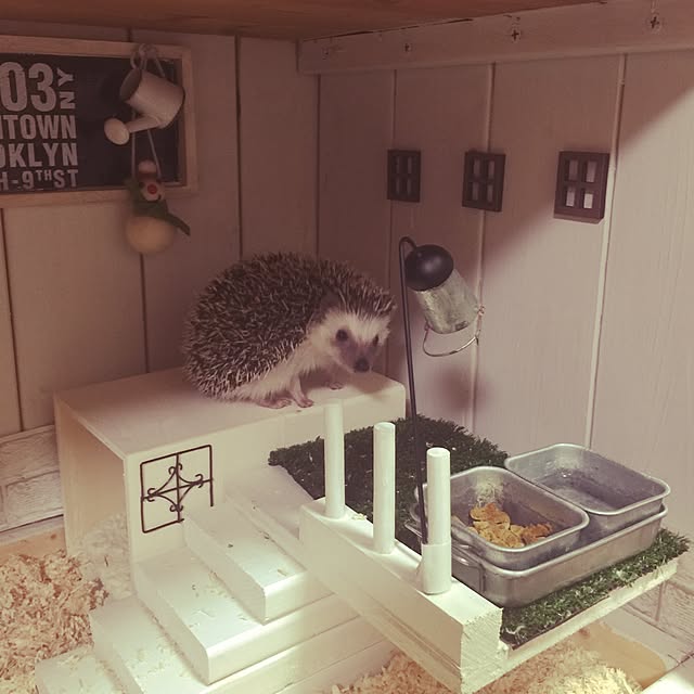 RURULOVEさんの実例写真
