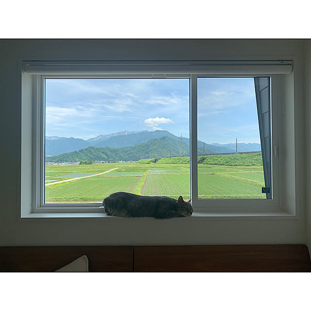 cocokuro0124さんの実例写真