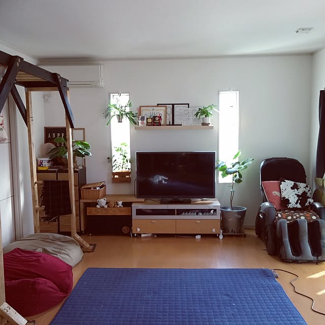 woody-natsu-aoさんの実例写真