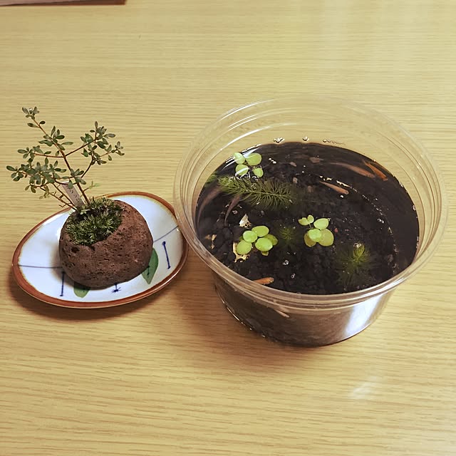 takakoさんの実例写真