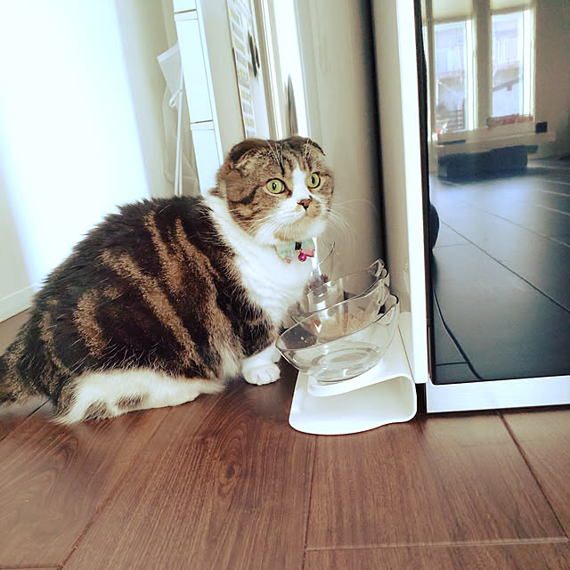 Cielさんの実例写真