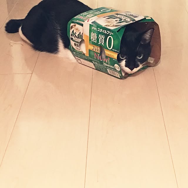 kkさんの実例写真