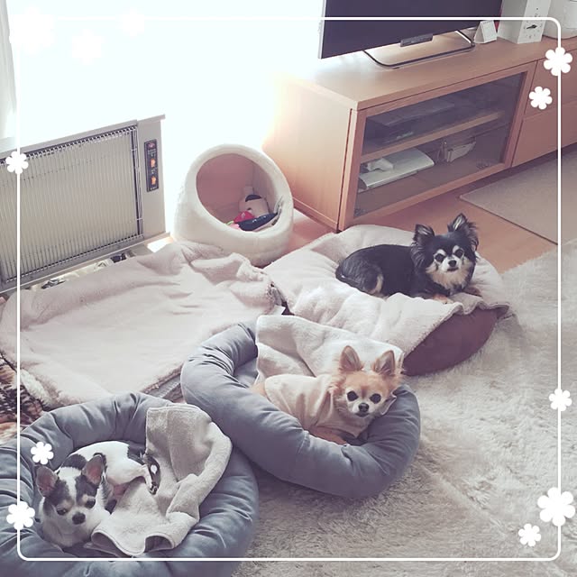 Emiさんの実例写真