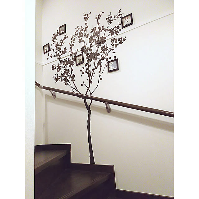 momo_s.a.iさんの実例写真