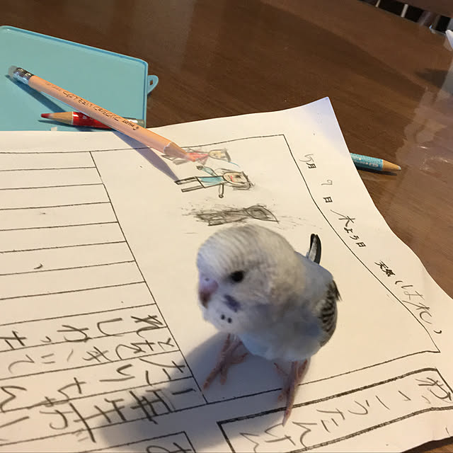 ohanaさんの実例写真