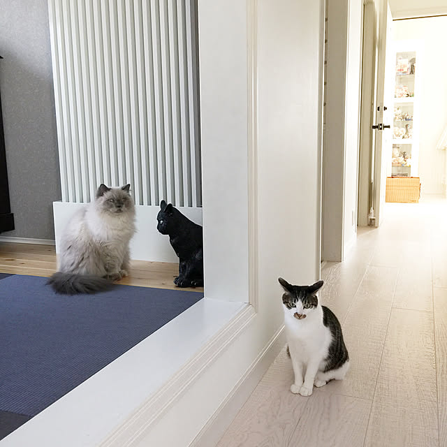 yuchiさんの実例写真