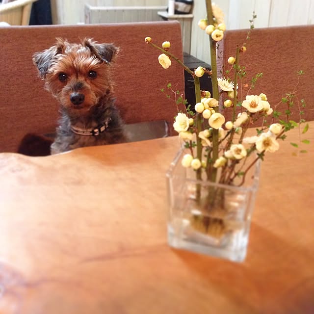 kuroさんの実例写真