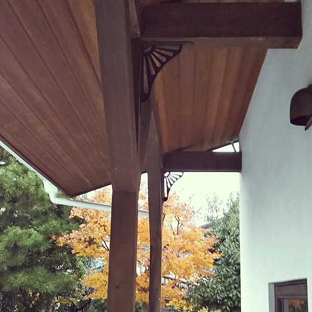 aozoraさんの実例写真