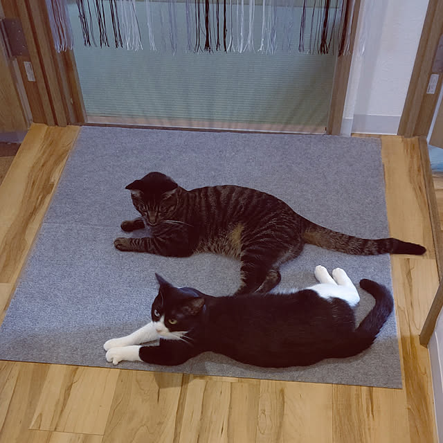 hihaさんの実例写真