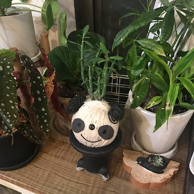 実例写真