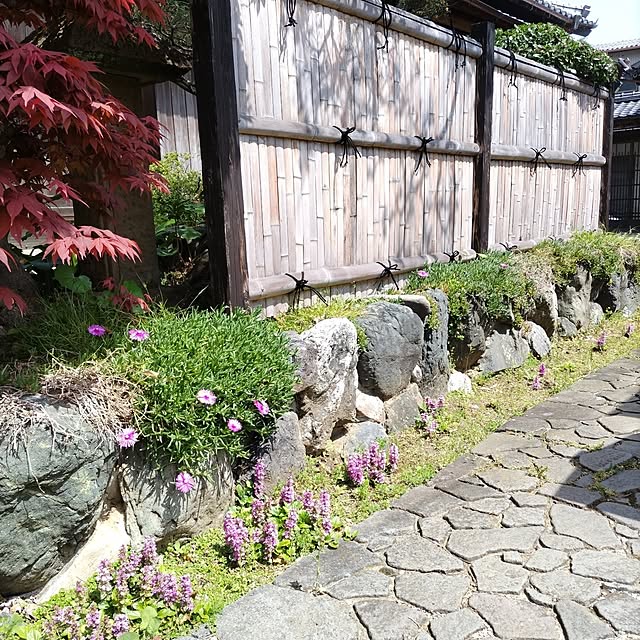 kuririnmamaさんの部屋