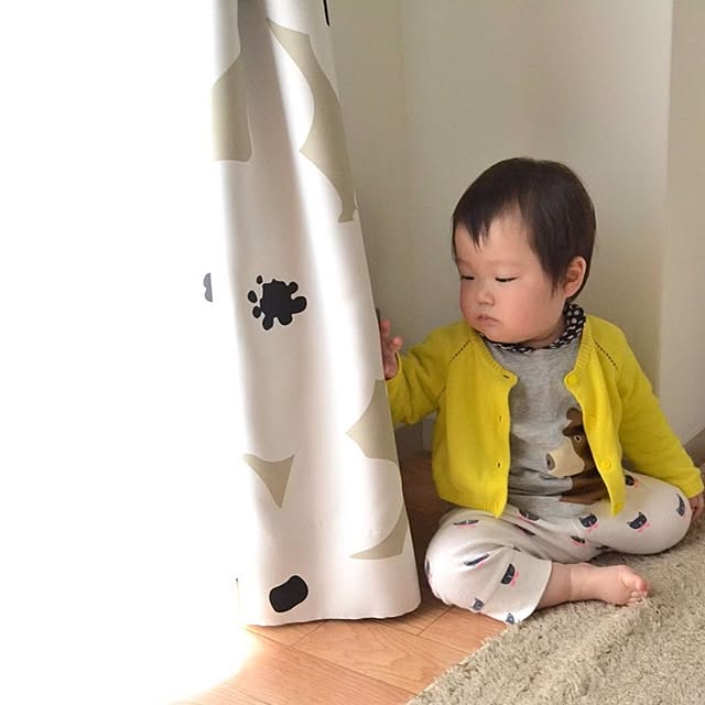 accongさんの実例写真