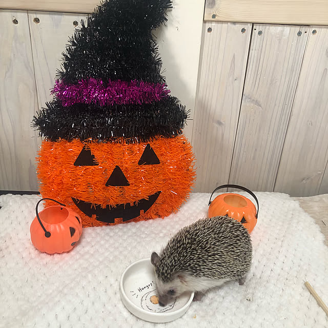 miiさんの実例写真