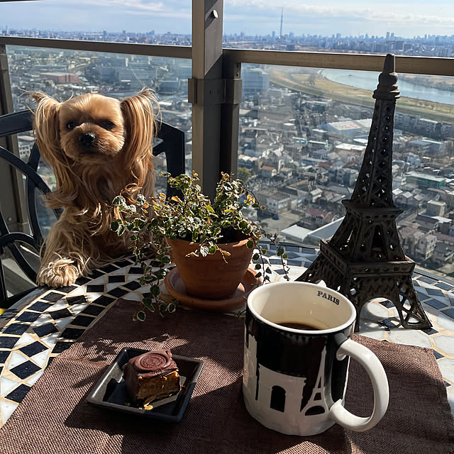 dearyumiさんの実例写真