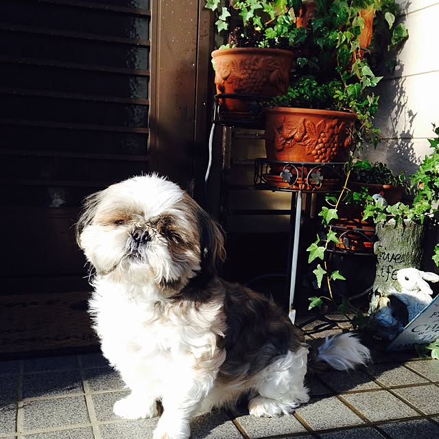 pepeさんの実例写真