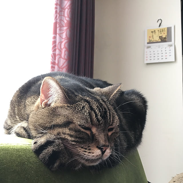 mikomaruさんの実例写真