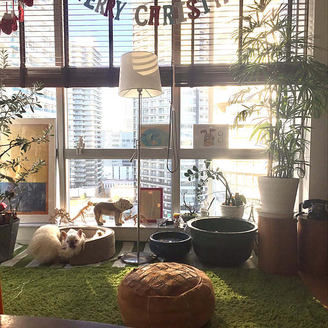 実例写真