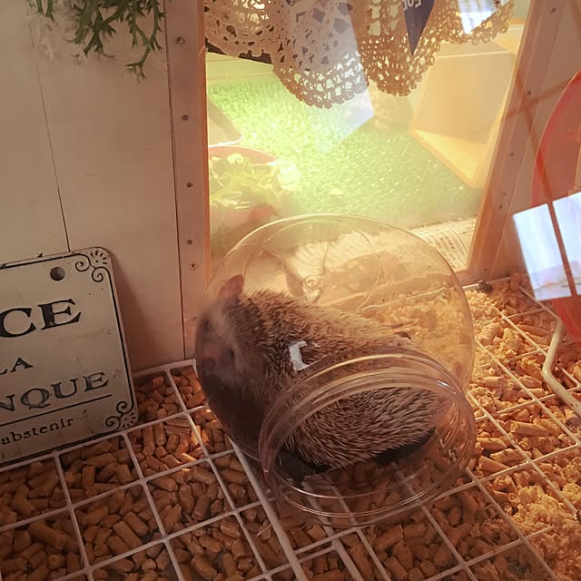 104さんの実例写真