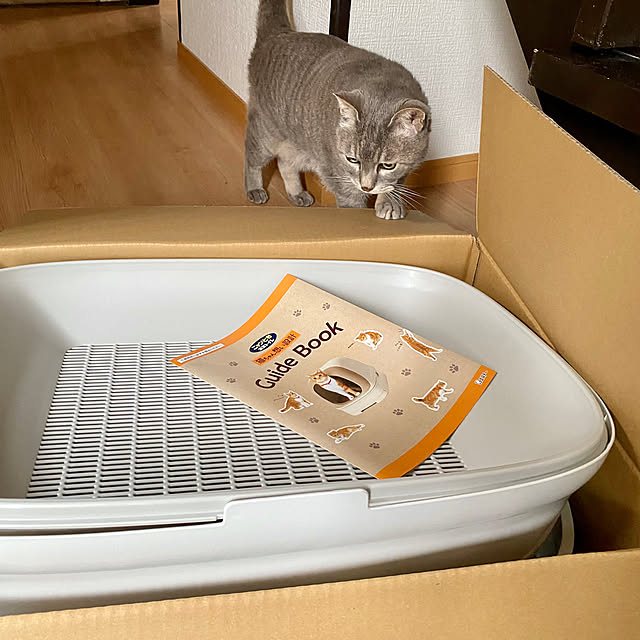 umi96さんの部屋