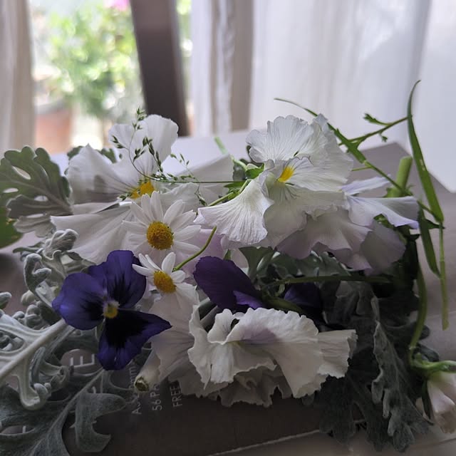 popoさんの実例写真