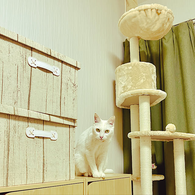 Maiさんの実例写真