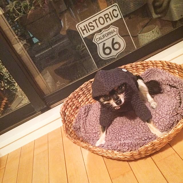riechocoさんの実例写真