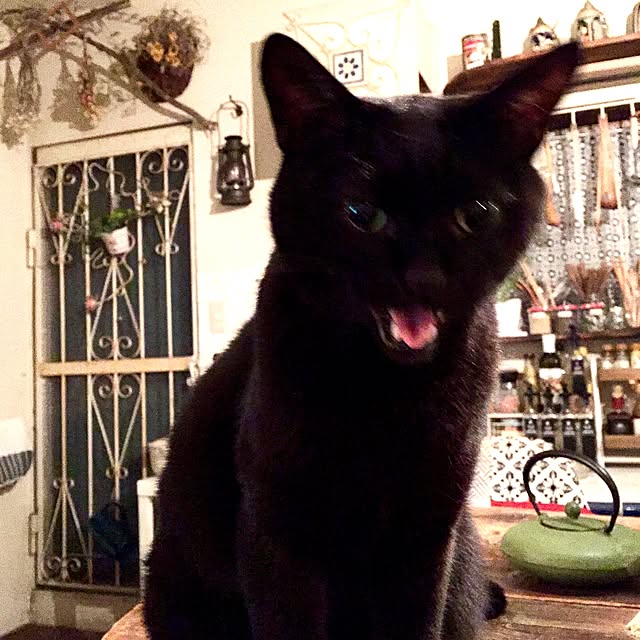 rosemaryさんの実例写真
