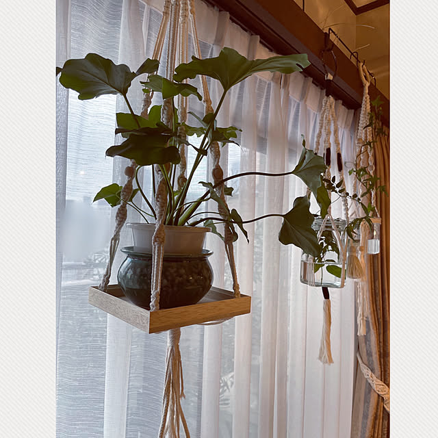 momo_sanさんの実例写真