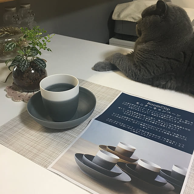 kittyさんの実例写真