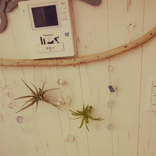 bikkeさんの実例写真