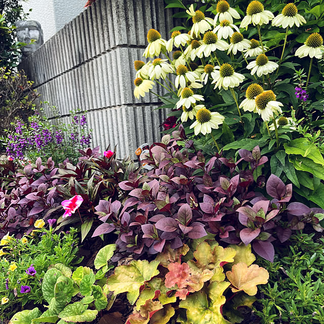 yukarin-gardenさんの部屋