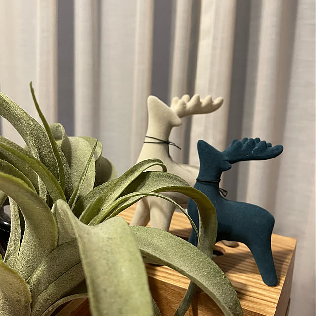 skhrさんの実例写真