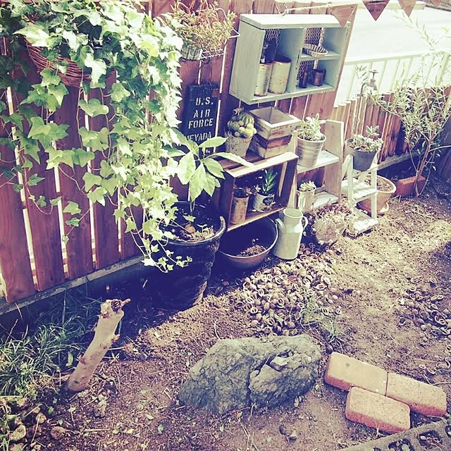 nonさんの実例写真