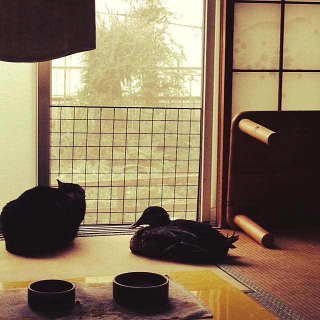 kura_hiroさんの実例写真